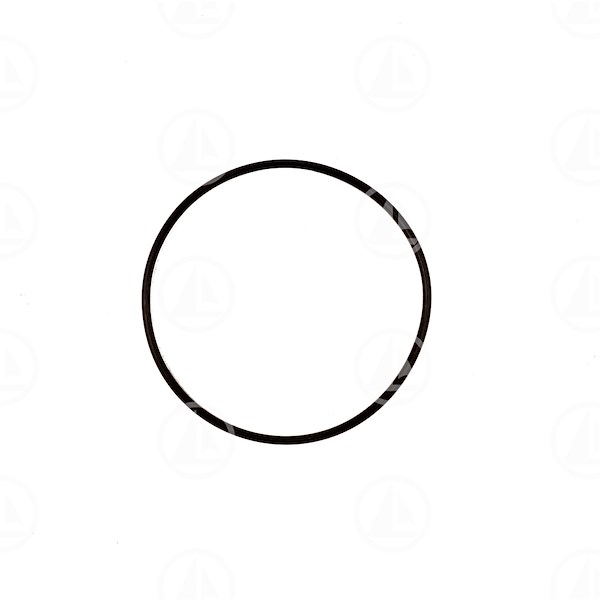 O-RING - MAR-925259