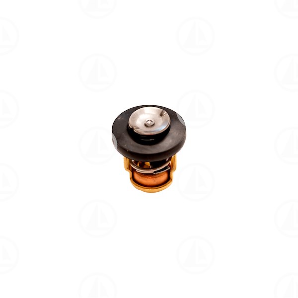 TERMOSTATO - MAR-66M-12411-01