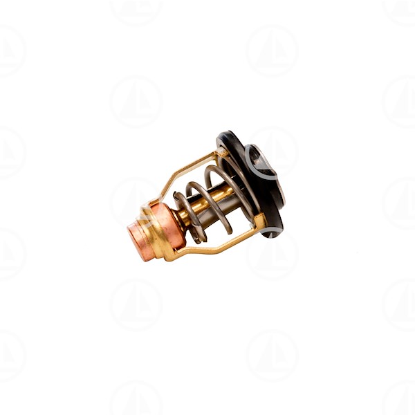 TERMOSTATO - MAR-6CE-12411-00
