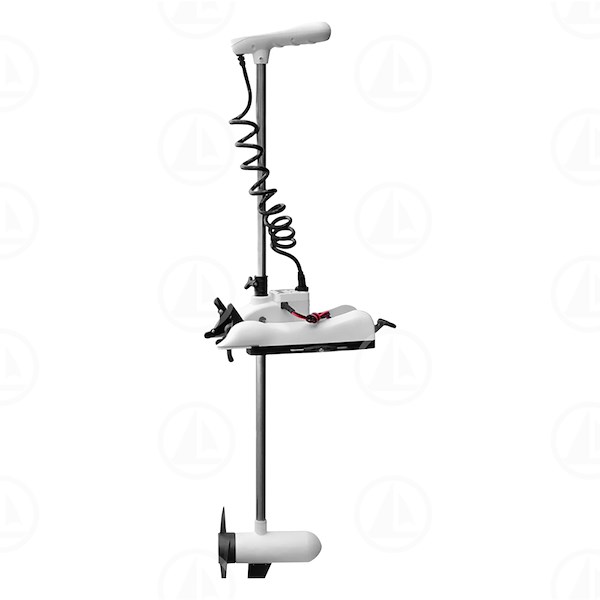 MOTORE HASWING 24 VOLTS GPS WHITE - HE50739W183