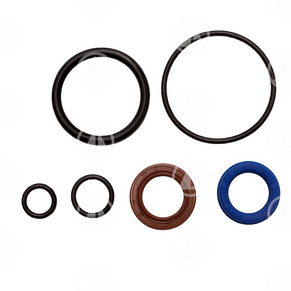 KIT REVISIONE PISTONE STERZO SX DPS - MAR-21910902KIT