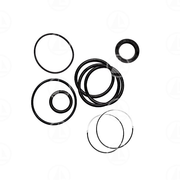 KIT RIPARAZIONE TRIM SX DP-SM SX-M