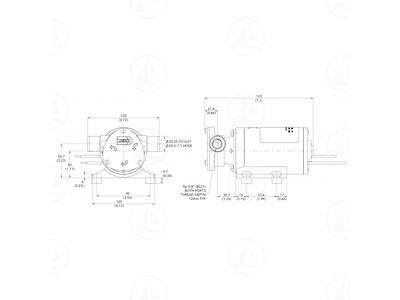 WATER PUMP PUPPY 12 VOLT 35L - MAR-04-0002-01