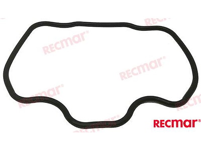 GUARNIZIONE CORNO SCARICO SINISTRO