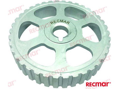 PIGNONE ASSE A CAMME