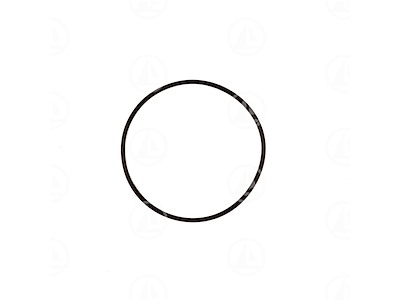 O-RING - MAR-925259