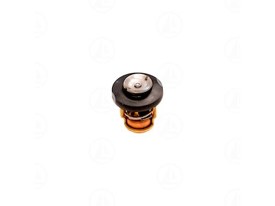 TERMOSTATO - MAR-66M-12411-01