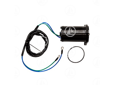 MOTORINO TRIM - MAR-6H1-43880-00