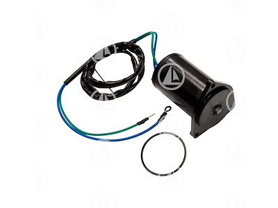 MOTORINO TRIM - MAR-6H1-43880-00