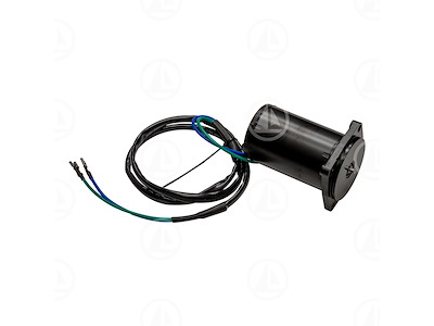 MOTORINO TRIM - MAR-38100-87J12
