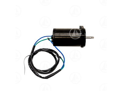 MOTORINO TRIM - MAR-6C5-43880-01