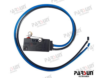 MICROINTERRUTTORE - PAF115-01030500