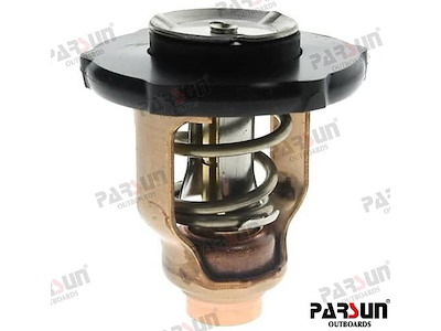 TERMOSTATO - PAF115-05000032