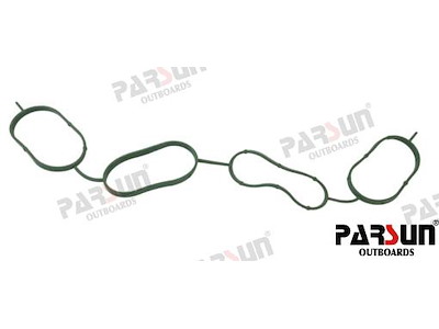 GUARNIZIONE COLLETTORE - PAF115-05060002