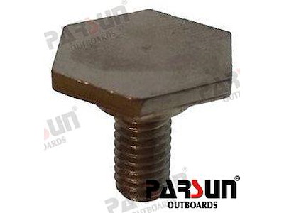 SCREW, FLAT HEXAGON - PAF15-01010103