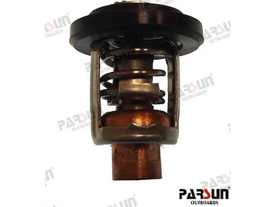 TERMOSTATO - PAF15-07000031