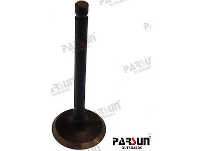 VALVE, INTAKE - PAF15-07040001