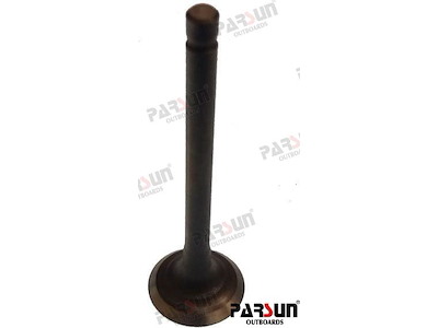 VALVE, EXHAUST - PAF15-07040002