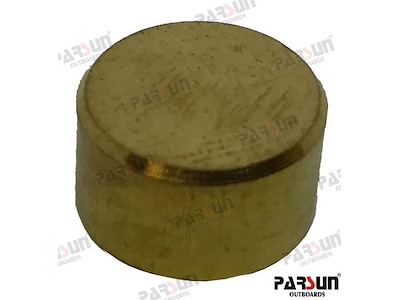 PULEGGIA - PAF15-13000004W