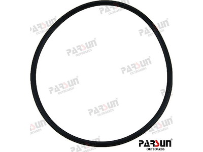 O-RING - PAF20-04060002E
