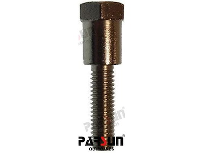 VITE - PAF20-05000004