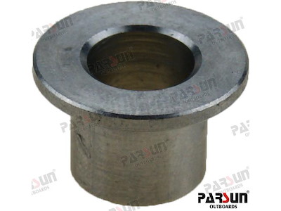 BUSH, OIL CUP - PAF20-05000047EFI