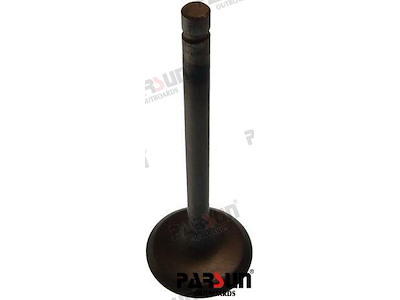 VALVOLA ASPIRAZIONE - PAF20-05030001