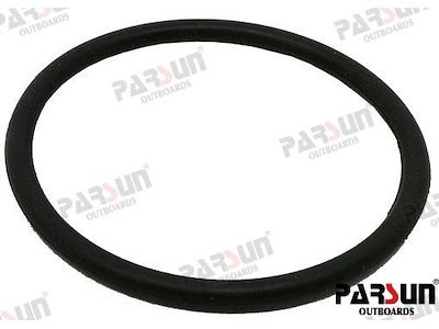O-RING - PAF25-01000005