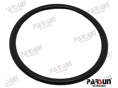 O-RING - PAF25-01000005L