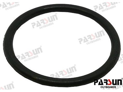 O-RING - PAF25-01000005S