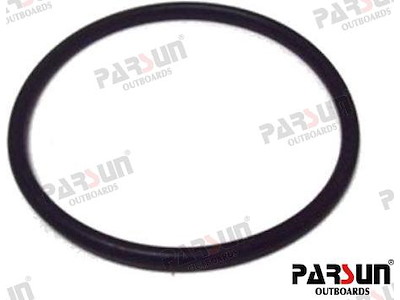 O-RING - PAF25-04050003