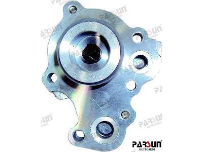 POMPA OLIO COMPLETA - PAF25-05050400