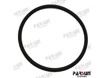O-RING - PAF25-05070201