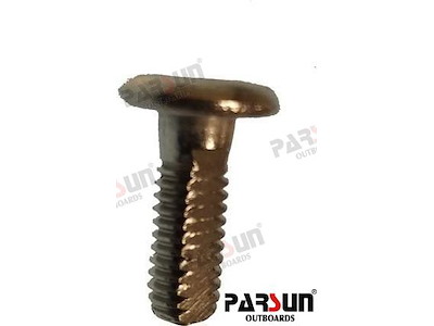 VITE TESTA PIANA Ô£BÔØ - PAF25-06000006