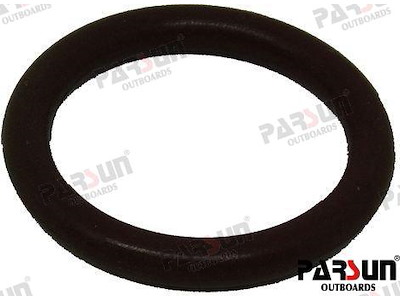 O-RING - PAF40-05100601EI