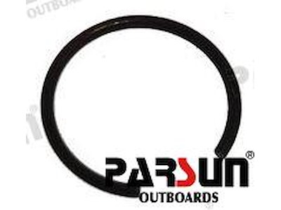 CIRCLIP - PAF4-04020006