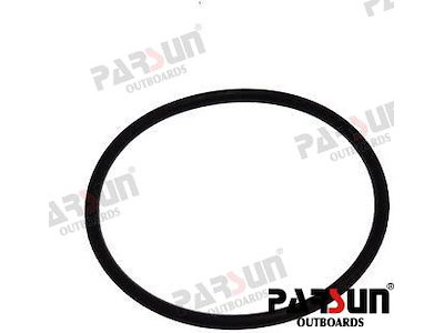 O RING - PAF4-04060002