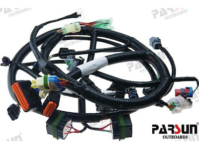 CAVI AECS - PAF60-05000900-B