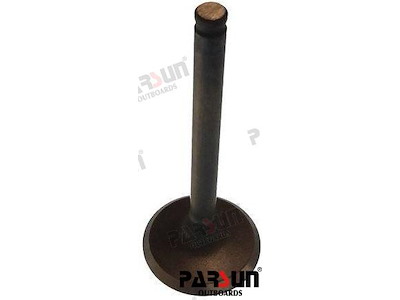 VALVOLA ASPIRAZIONE - PAF6-04050001