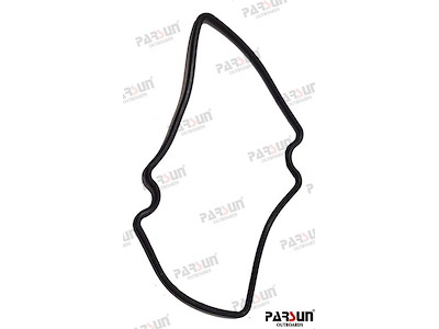 ANELLO DI TENUTA - PAF6-04060020