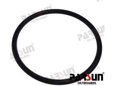 O-RING - PAF8-04040002