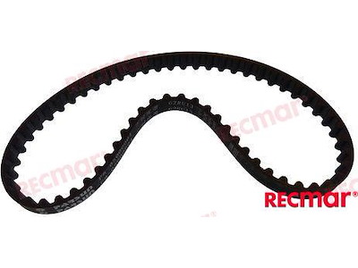 CINGHIA - PAF8-05000004