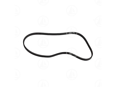 CINGHIA OPTIMAX 135 150 200 DFI - MAR-828507Q4