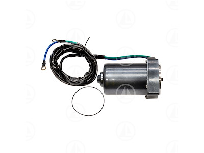 MOTORE TRIM F 300 F350 AET - MAR-6AW-43880-22