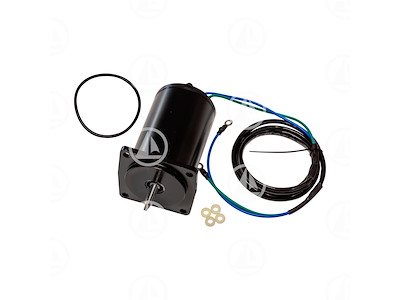 MOTORINO TRIM