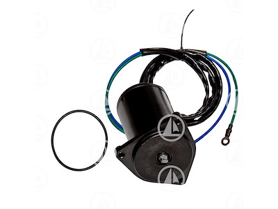 MOTORE TRIM - MAR-6H1-43880-02