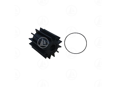 GIRANTE - MAR-CEF500163G