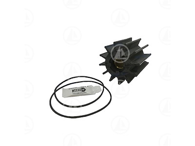 GIRANTE D12/13 - MAR-JAB-17938-0001-P