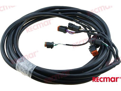 ESTENSIONE IMBRACATURA 20-¦