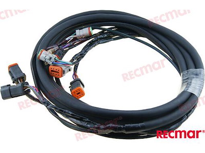 CABLAGGIO ELETTRICO  10 -¦